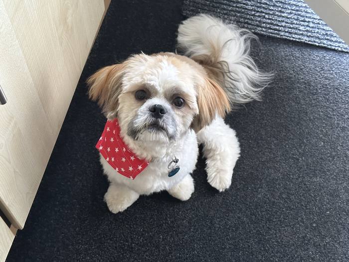 George wearing a red star bandana