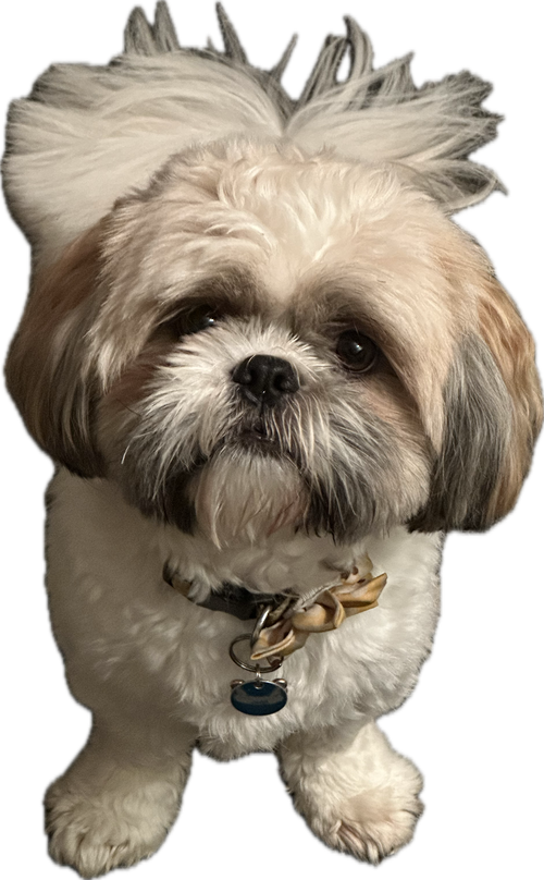 George's official portrait